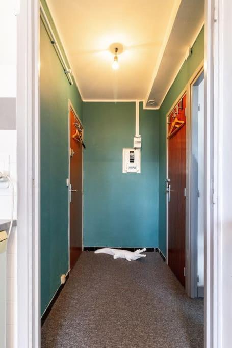Double Appartement, Saint Michel, Parking, Wifi Toulouse Extérieur photo
